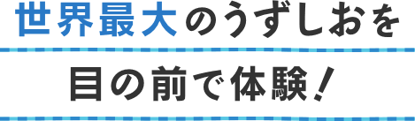 公式 うずしおクルーズ 淡路島から鳴門の渦潮を体験 公式 うずしおクルーズ 淡路島から鳴門の渦潮を体験