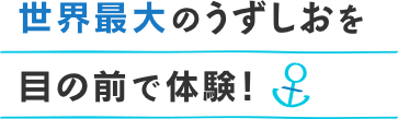 世界最大のうずしおを目の前で体験！