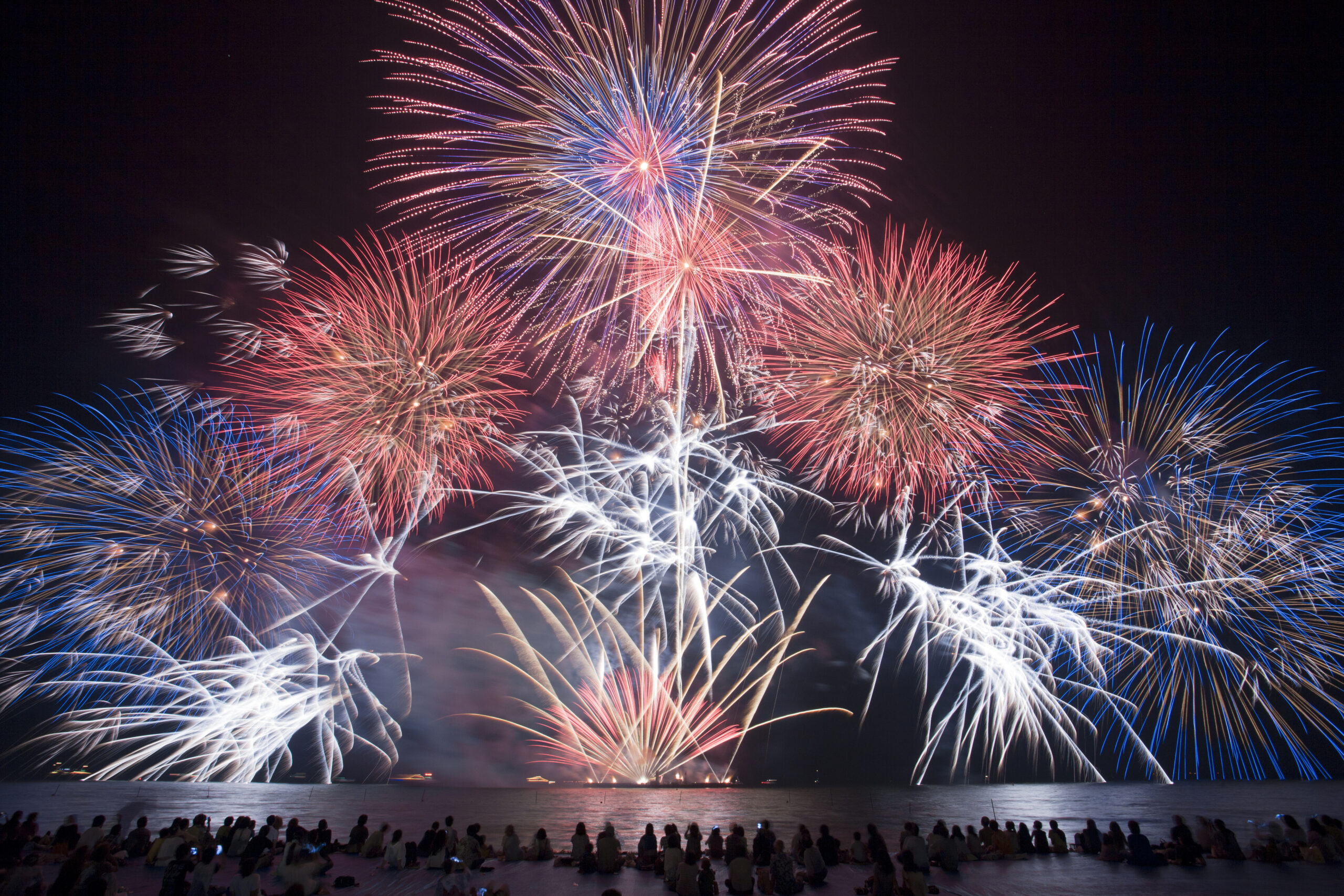 夜空に艶やかに広がる花火